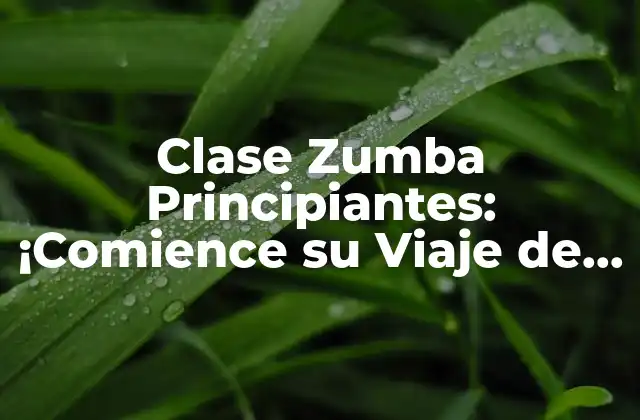 Clase Zumba Principiantes: ¡comience Su Viaje de Fitness con Ritmo!