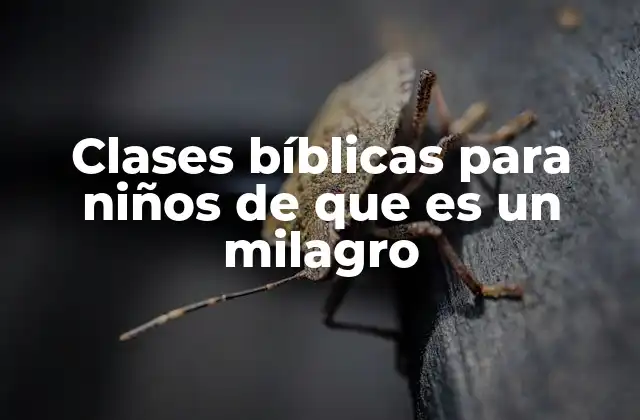 Clases Bíblicas para Niños de que es un Milagro