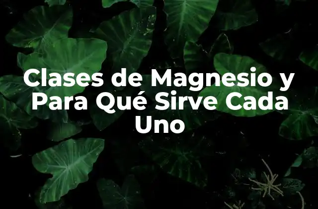 Clases de Magnesio y para Qué Sirve Cada Uno