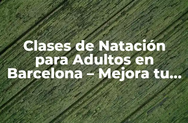 Clases de Natación para Adultos en Barcelona – Mejora Tu Técnica