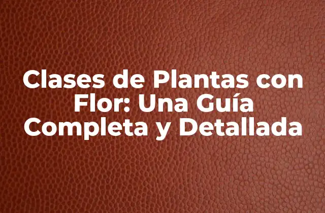 Clases de Plantas con Flor: una Guía Completa y Detallada 2 ¿Qué son las Plantas con Flor?