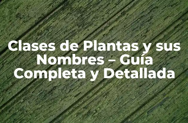 Clases de Plantas y Sus Nombres – Guía Completa y Detallada