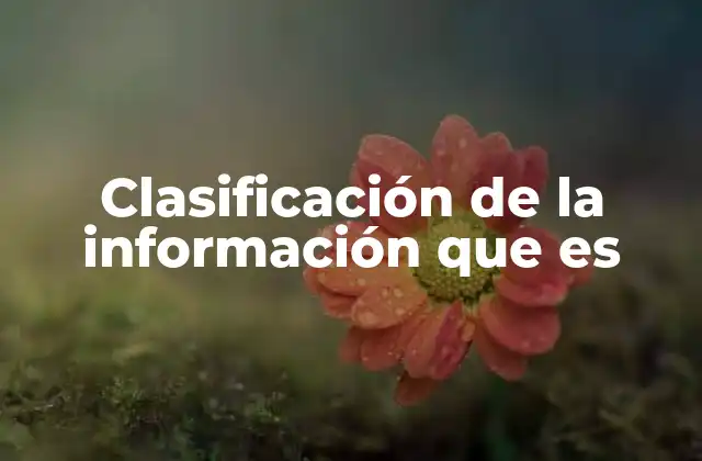 Clasificación de la Información que es
