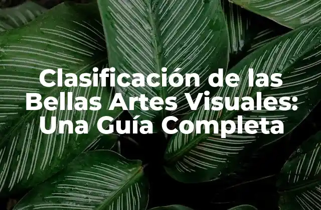 Clasificación de las Bellas Artes Visuales: una Guía Completa