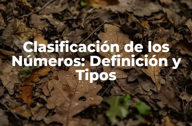 Clasificación de los Números: Definición y Tipos