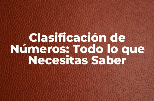 Clasificación de Números: Todo Lo que Necesitas Saber
