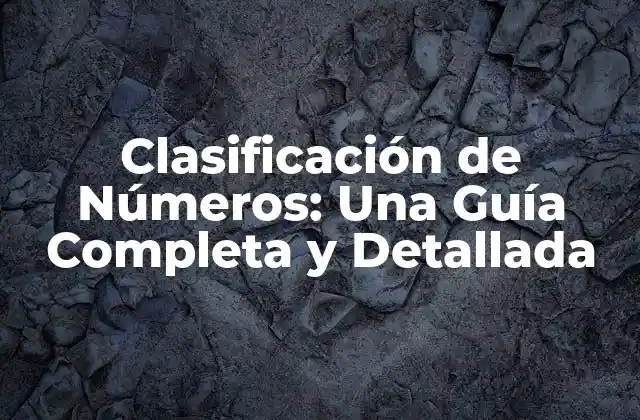 Clasificación de Números: una Guía Completa y Detallada