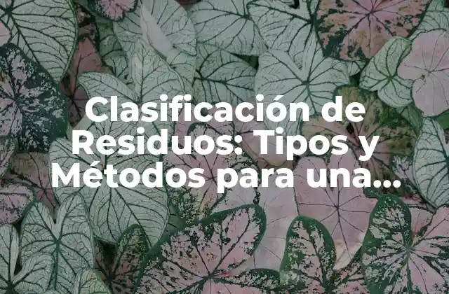 Clasificación de Residuos: Tipos y Métodos para una Gestión Efectiva