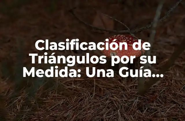 Clasificación de Triángulos por Su Medida: una Guía Completa