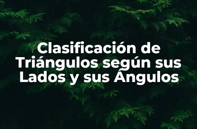 Clasificación de Triángulos según Sus Lados y Sus Ángulos