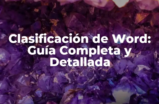 Clasificación de Word: Guía Completa y Detallada