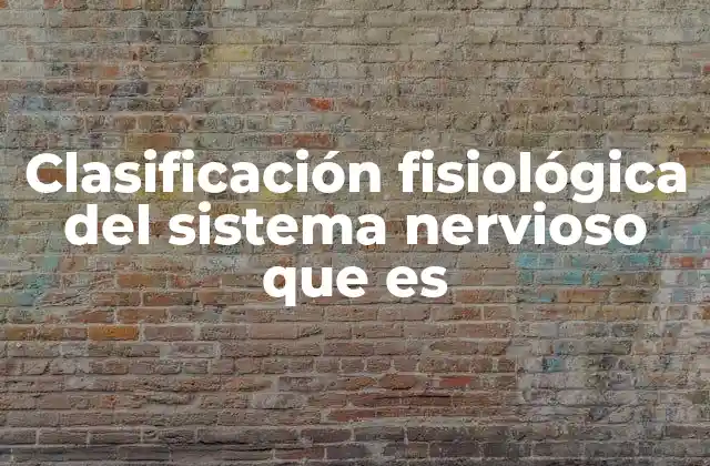 Clasificación Fisiológica Del Sistema Nervioso que es