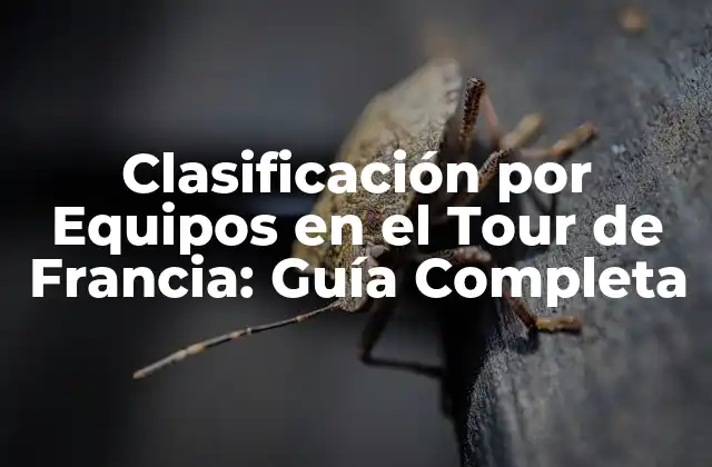 Clasificación por Equipos en el Tour de Francia: Guía Completa