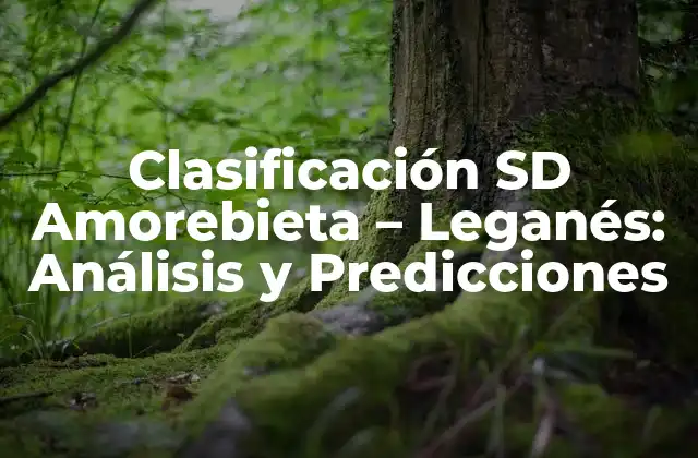 Clasificación Sd Amorebieta – Leganés: Análisis y Predicciones