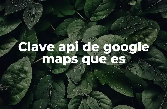 Clave Api de Google Maps que es
