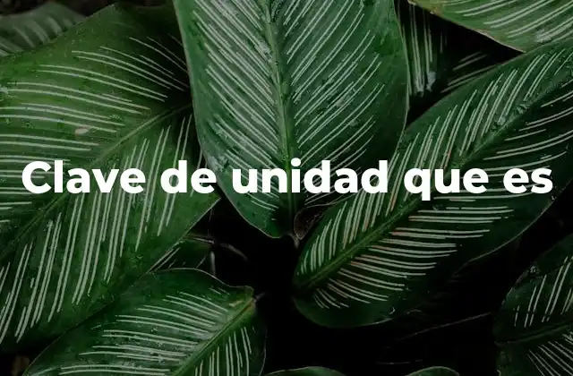 Clave de Unidad que es