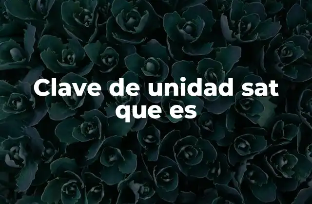 Clave de Unidad Sat que es 2 Importancia de las claves de unidad en el sistema fiscal