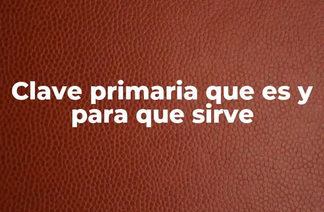Clave Primaria que es y para que Sirve
