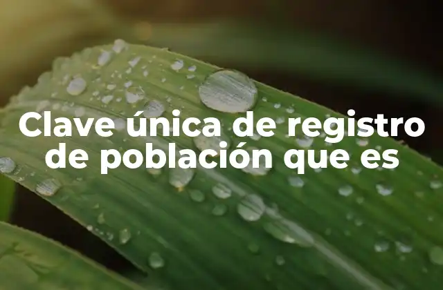 Clave Única de Registro de Población que es