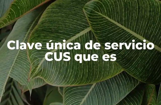 Clave Única de Servicio Cus que es