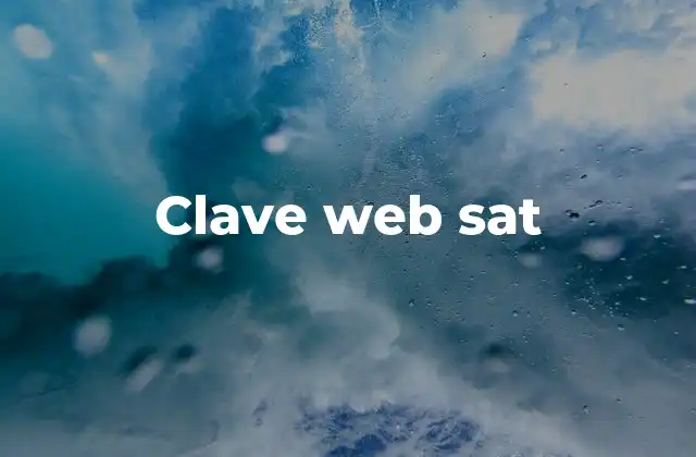 Clave Web Sat