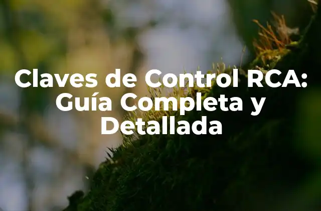 ¿Qué son las Claves de Control RCA?