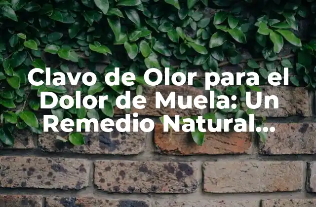 Clavo de Olor para el Dolor de Muela: un Remedio Natural Efectivo