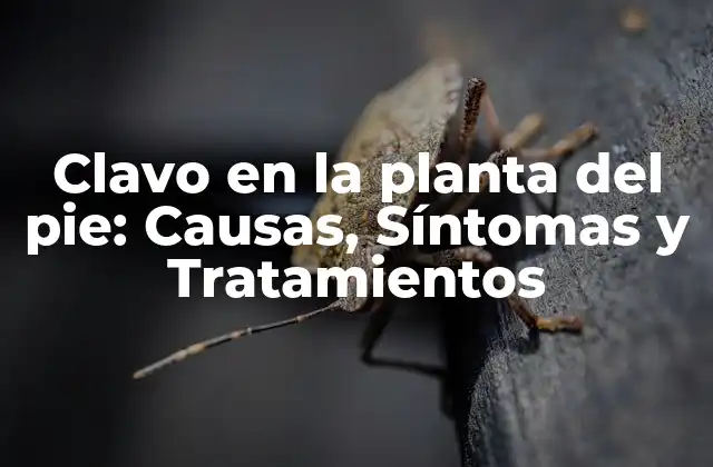 Clavo en la Planta Del Pie: Causas, Síntomas y Tratamientos