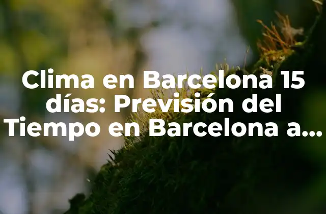 Clima en Barcelona 15 Días: Previsión Del Tiempo en Barcelona a Largo Plazo