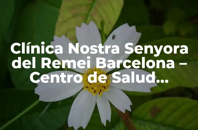 Clínica Nostra Senyora Del Remei Barcelona – Centro de Salud Integral