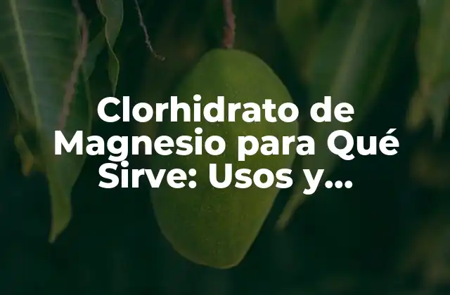 Clorhidrato de Magnesio para Qué Sirve: Usos y Beneficios