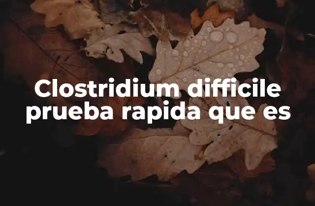 Clostridium Difficile Prueba Rapida que es