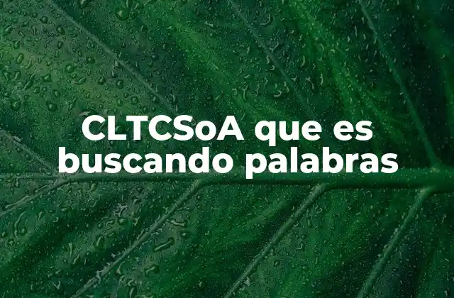 Cltcsoa que es Buscando Palabras