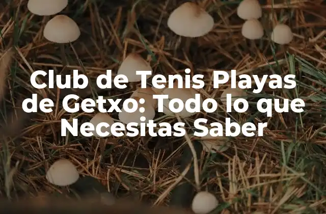 Club de Tenis Playas de Getxo: Todo Lo que Necesitas Saber