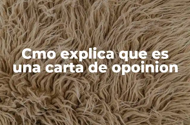 Cmo Explica que es una Carta de Opoinion