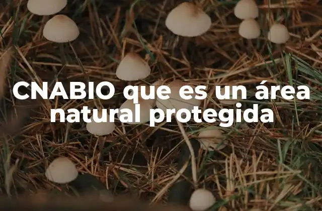 Cnabio que es un Área Natural Protegida