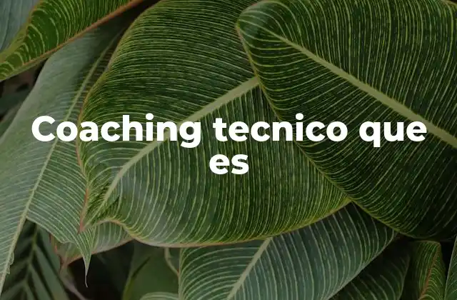 Coaching Tecnico que es 2 El rol del coaching técnico en el desarrollo profesional