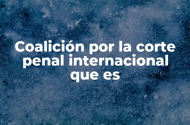 Coalición por la Corte Penal Internacional que es