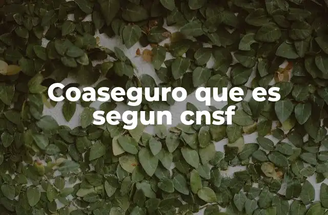 Coaseguro que es Segun Cnsf