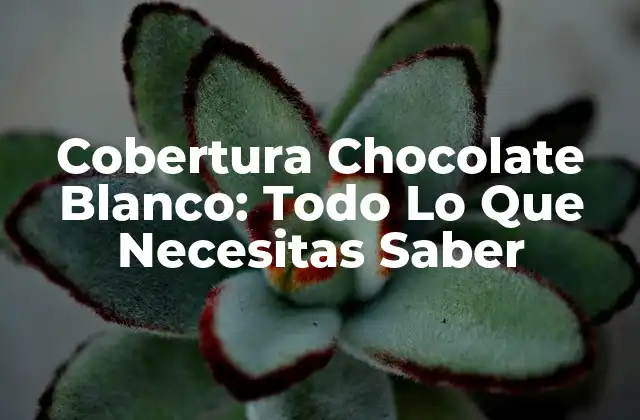 Cobertura Chocolate Blanco: Todo Lo que Necesitas Saber