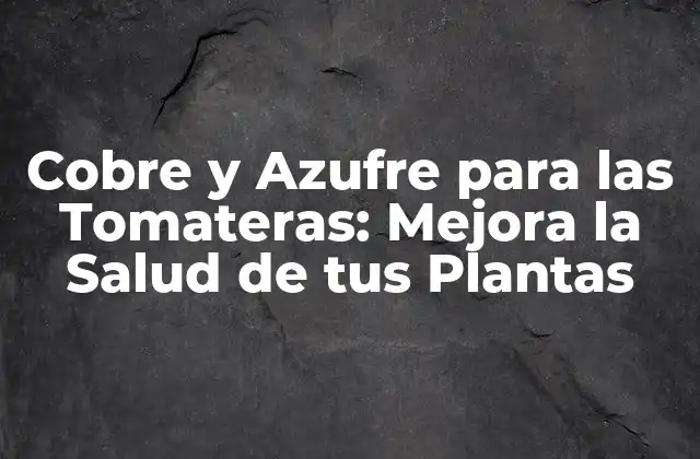 Cobre y Azufre para las Tomateras: Mejora la Salud de Tus Plantas