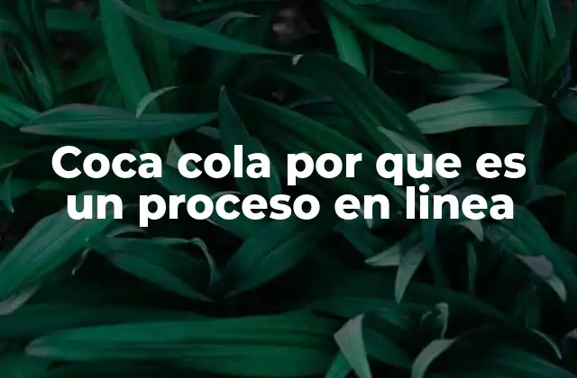 Coca Cola por que es un Proceso en Linea