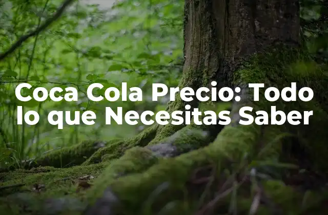 Coca Cola Precio: Todo Lo que Necesitas Saber