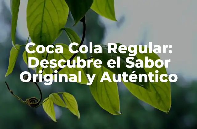 Coca Cola Regular: Descubre el Sabor Original y Auténtico