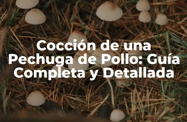 ¿Cuánto Tiempo Debe Cocinar una Pechuga de Pollo?