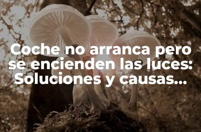 Coche No Arranca pero Se Encienden las Luces: Soluciones y Causas Comunes