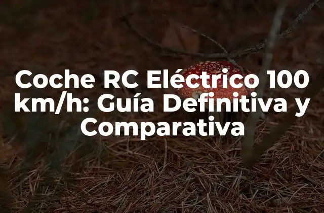Cómo funciona un coche RC eléctrico de alta velocidad