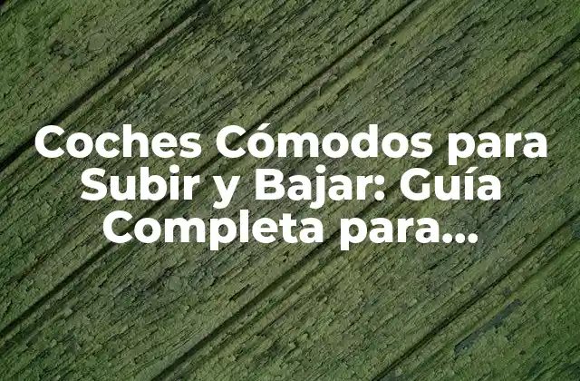 Coches Cómodos para Subir y Bajar: Guía Completa para Conductoras y Conductores con Movilidad Reducida