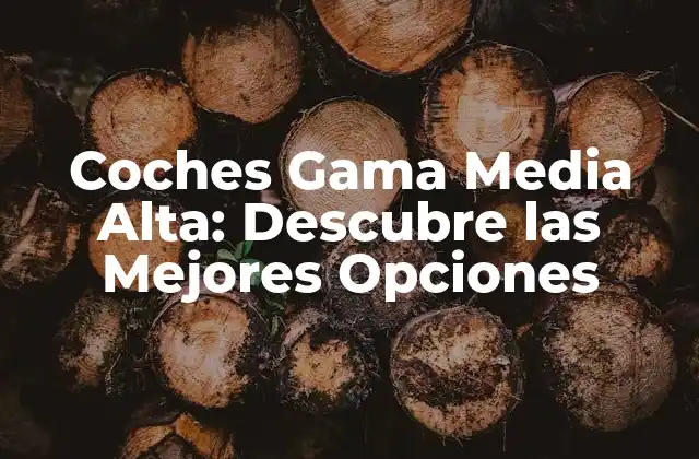Coches Gama Media Alta: Descubre las Mejores Opciones