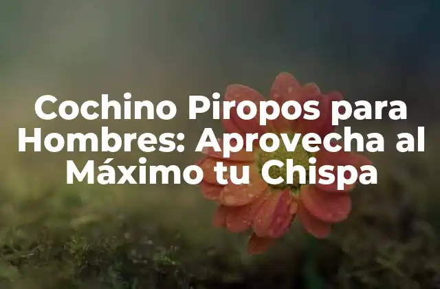 Cochino Piropos para Hombres: Aprovecha Al Máximo Tu Chispa
